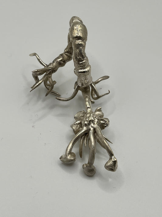 Prehistoric Trilobite