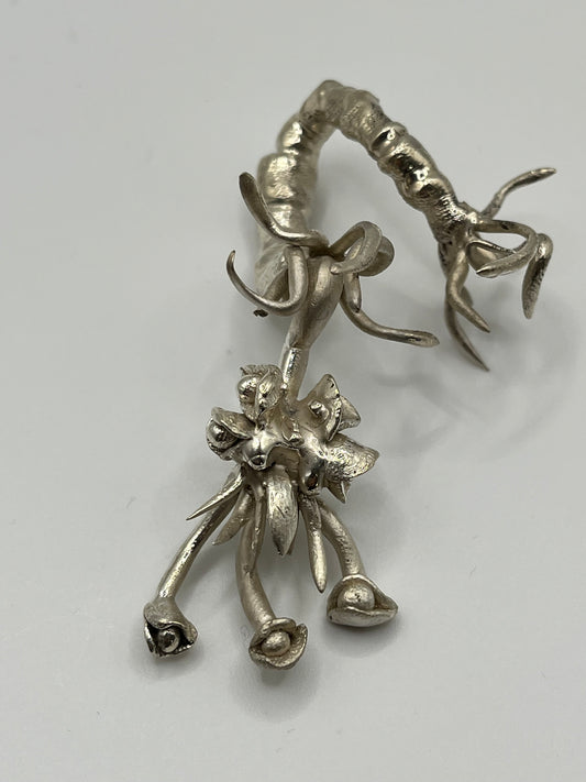 Prehistoric Trilobite